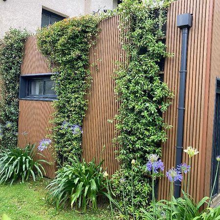 Appartamento Joli 2 pièces esprit loft moderne Pau Esterno foto