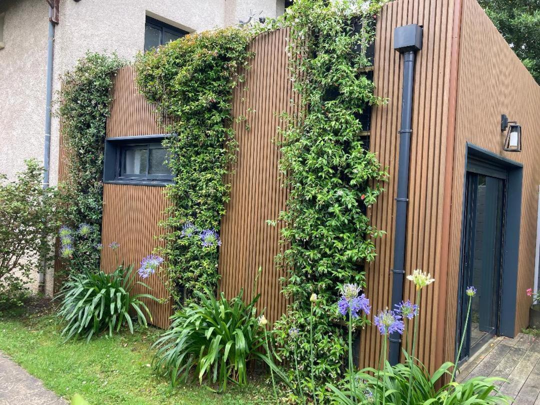 Appartamento Joli 2 pièces esprit loft moderne Pau Esterno foto